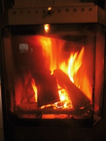 Kaminofen