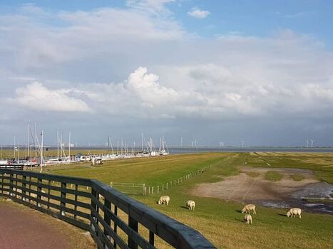 Der Süderhafen mit den Deichbewohnern 