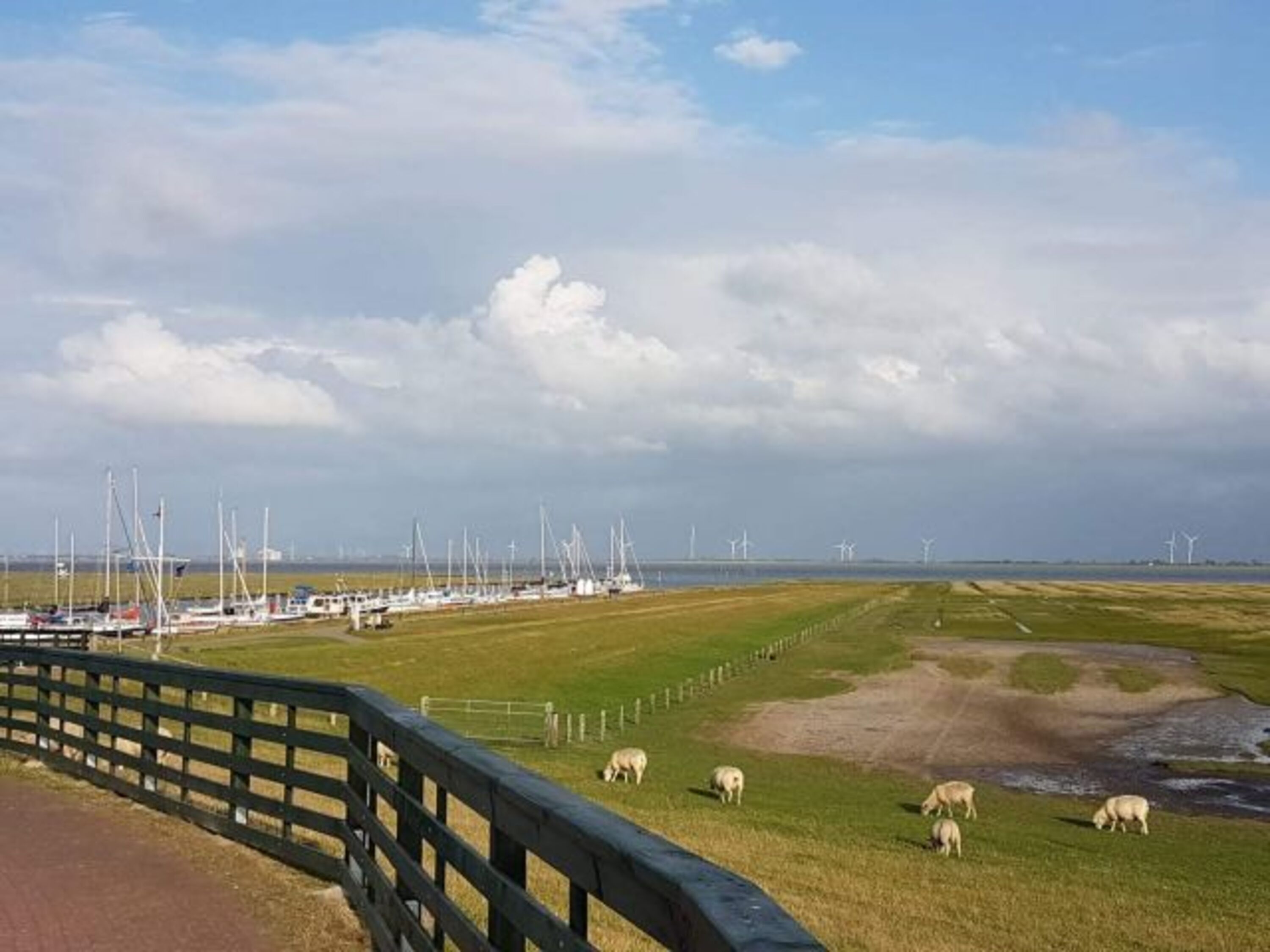 Der Süderhafen mit den Deichbewohnern 