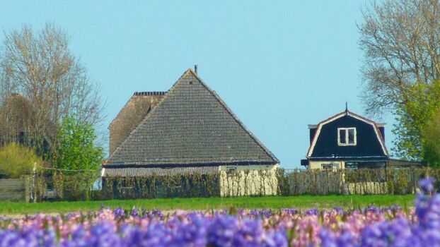 Rückansicht vom kompletten Grundstück