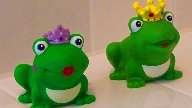 sind die nicht niedlich?