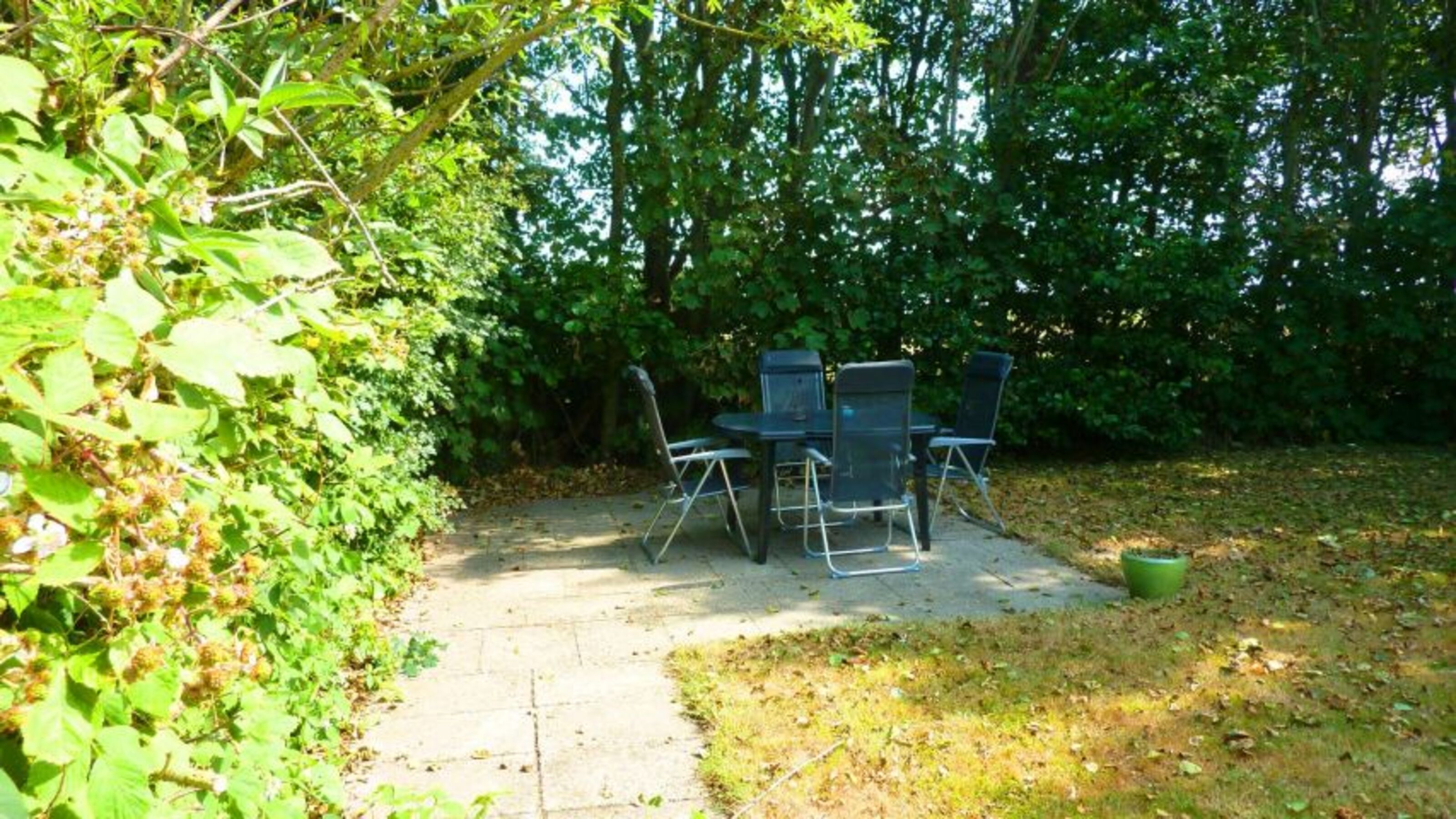 Gartenbereich mit Gasgrill