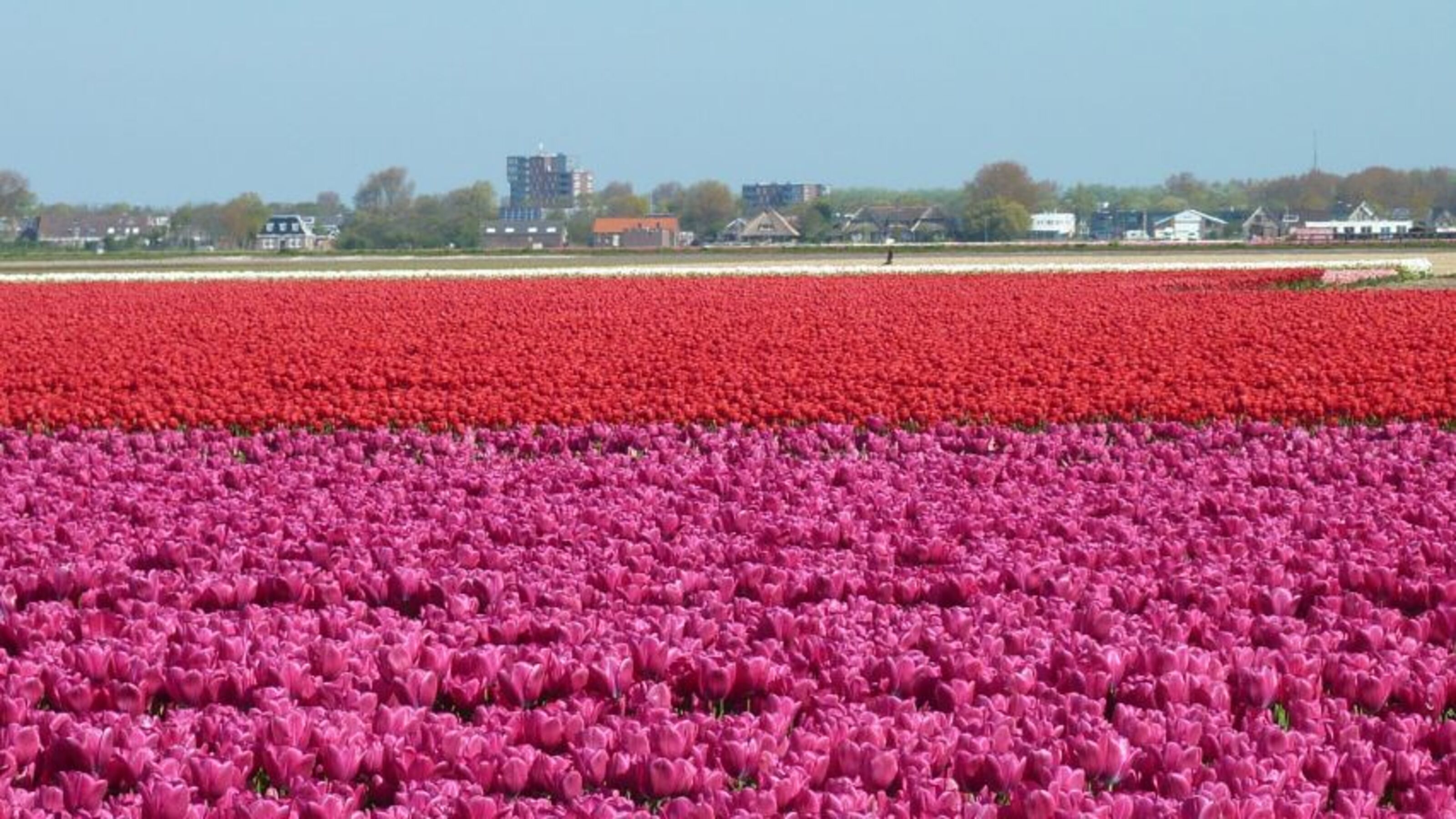 Bild 20
