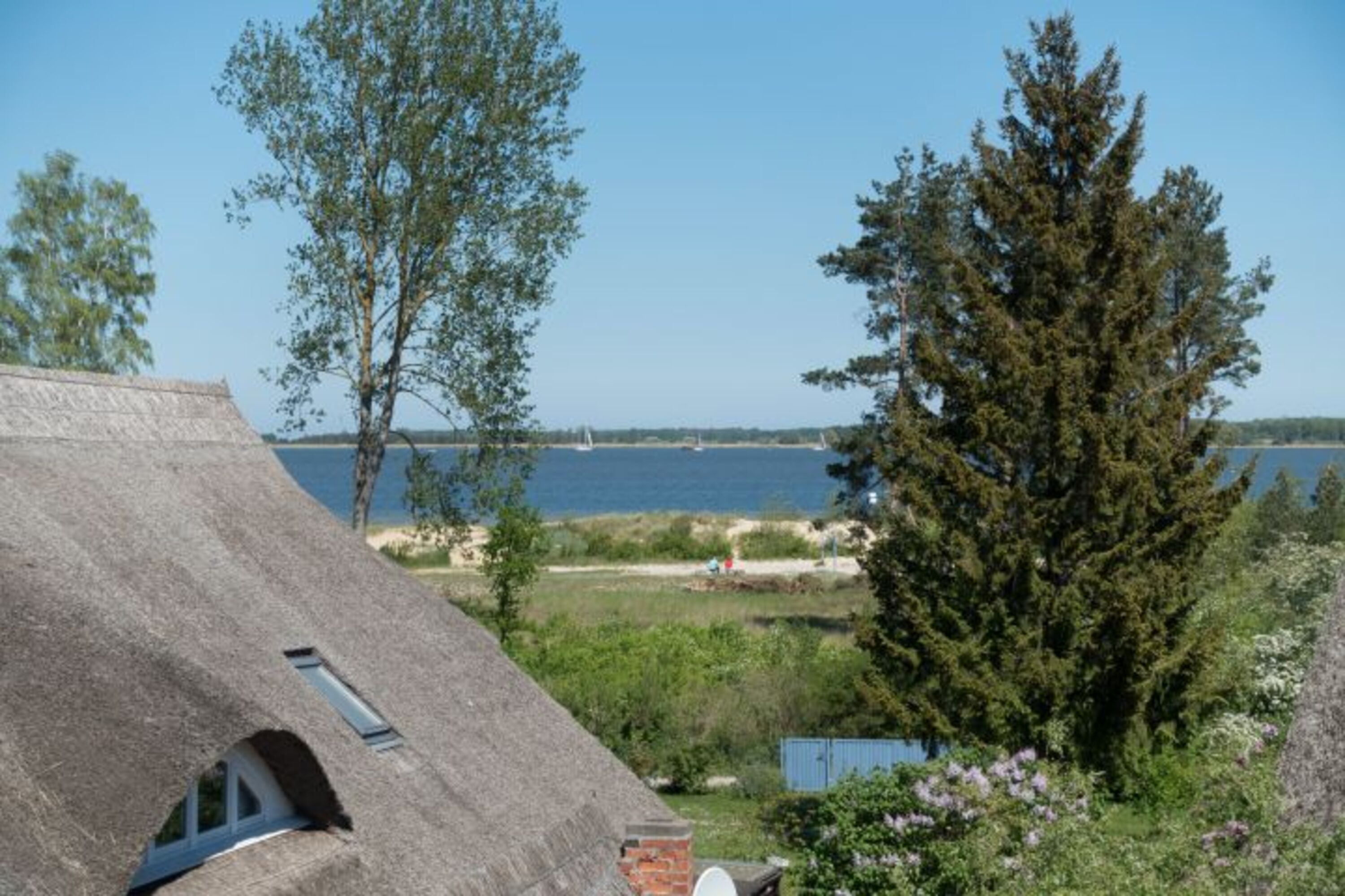 Bild 15