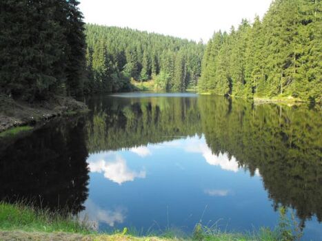 Wandermöglichkeiten in der direkten Umgebung