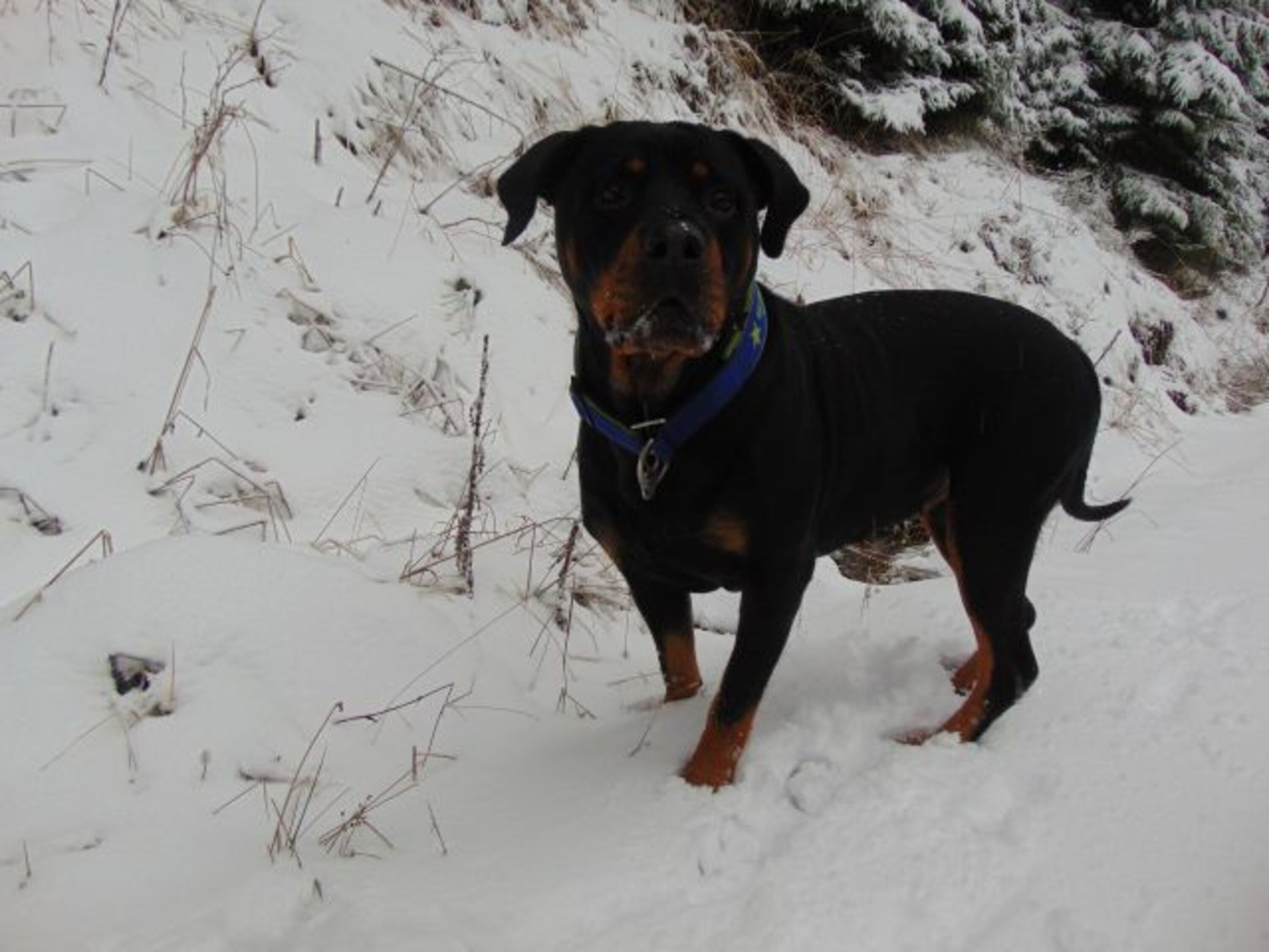 Bild 24