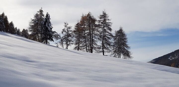 Winterwunderland am AVIUNSHOF