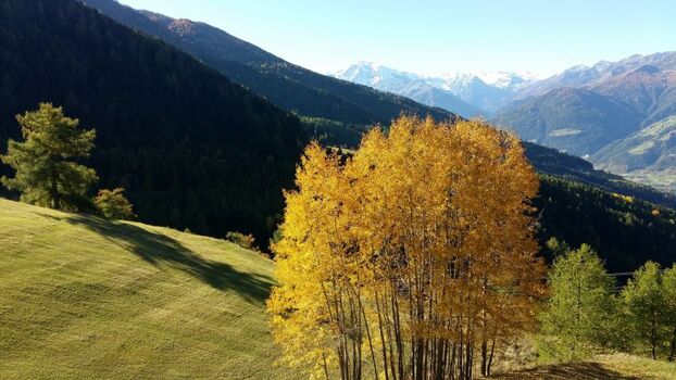 Aussicht vom Balkon im Herbst