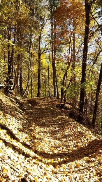 Vinschgauer Höhenweg im Herbst