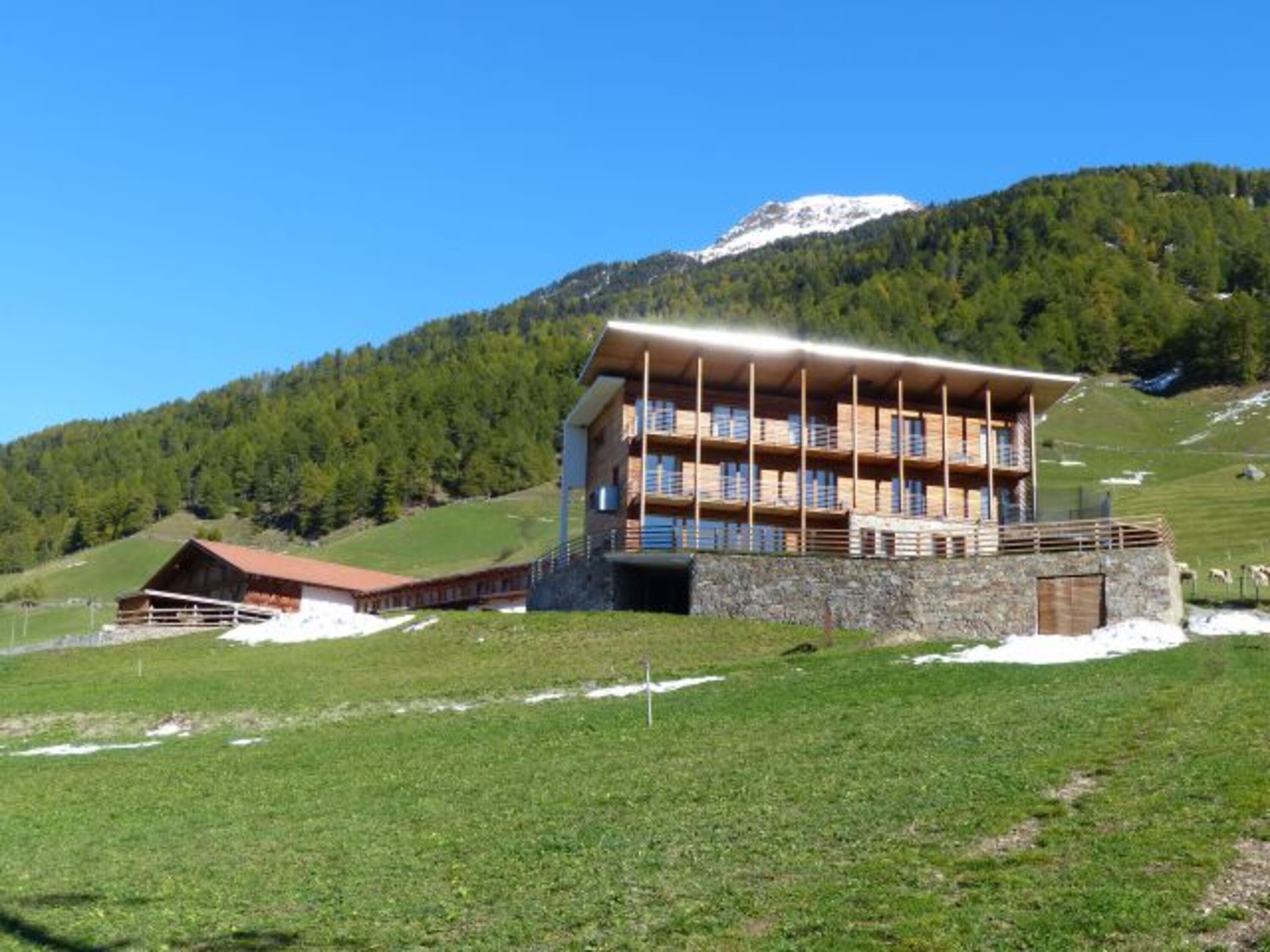 Aviunshof im Frühling