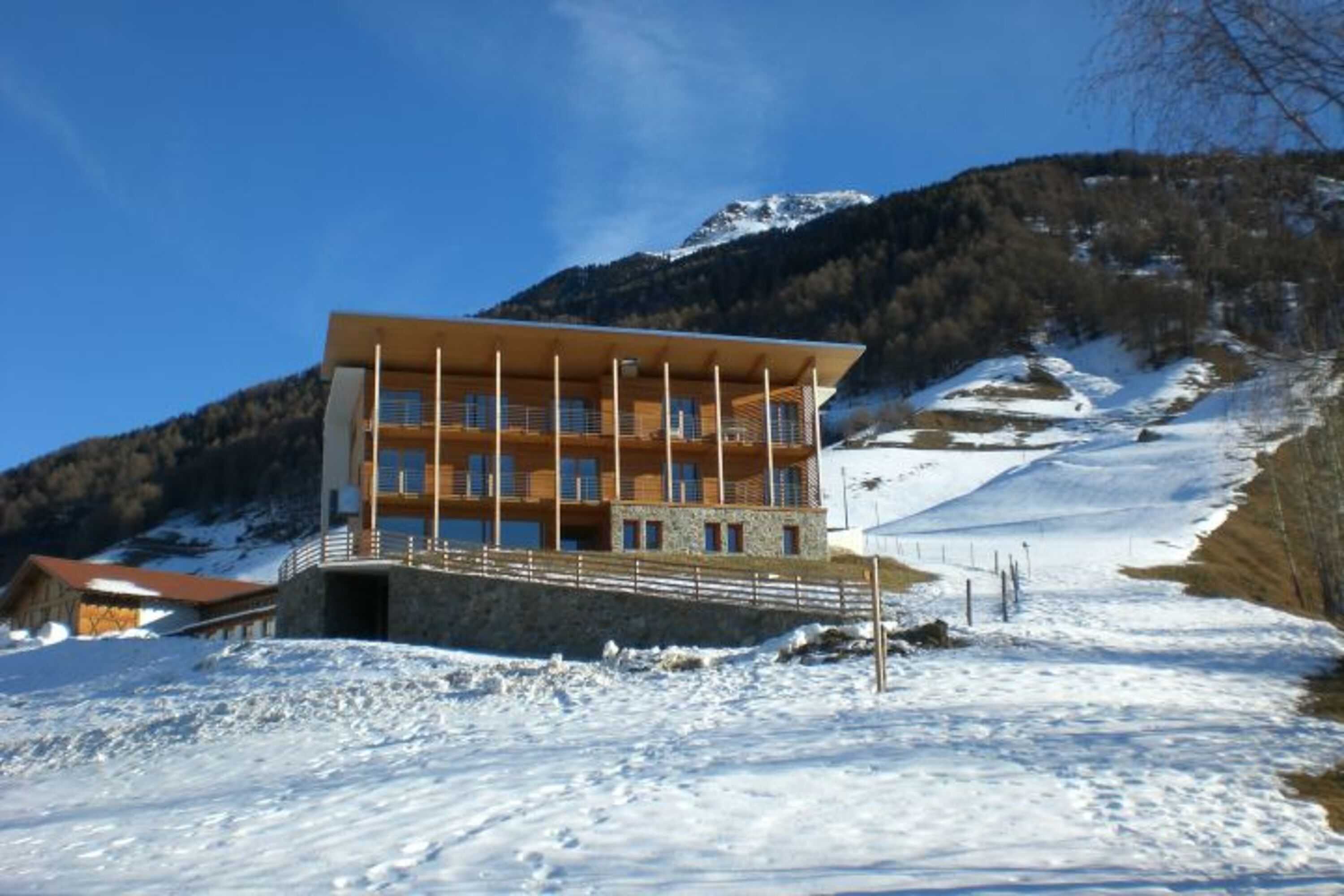 Aviunshof im Winter