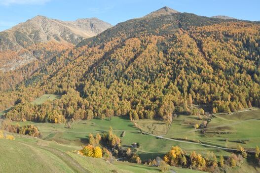 Goldener Herbst im Matschertal