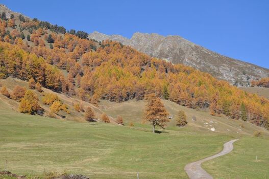 Herbstliche Landhschaft im Matschertal