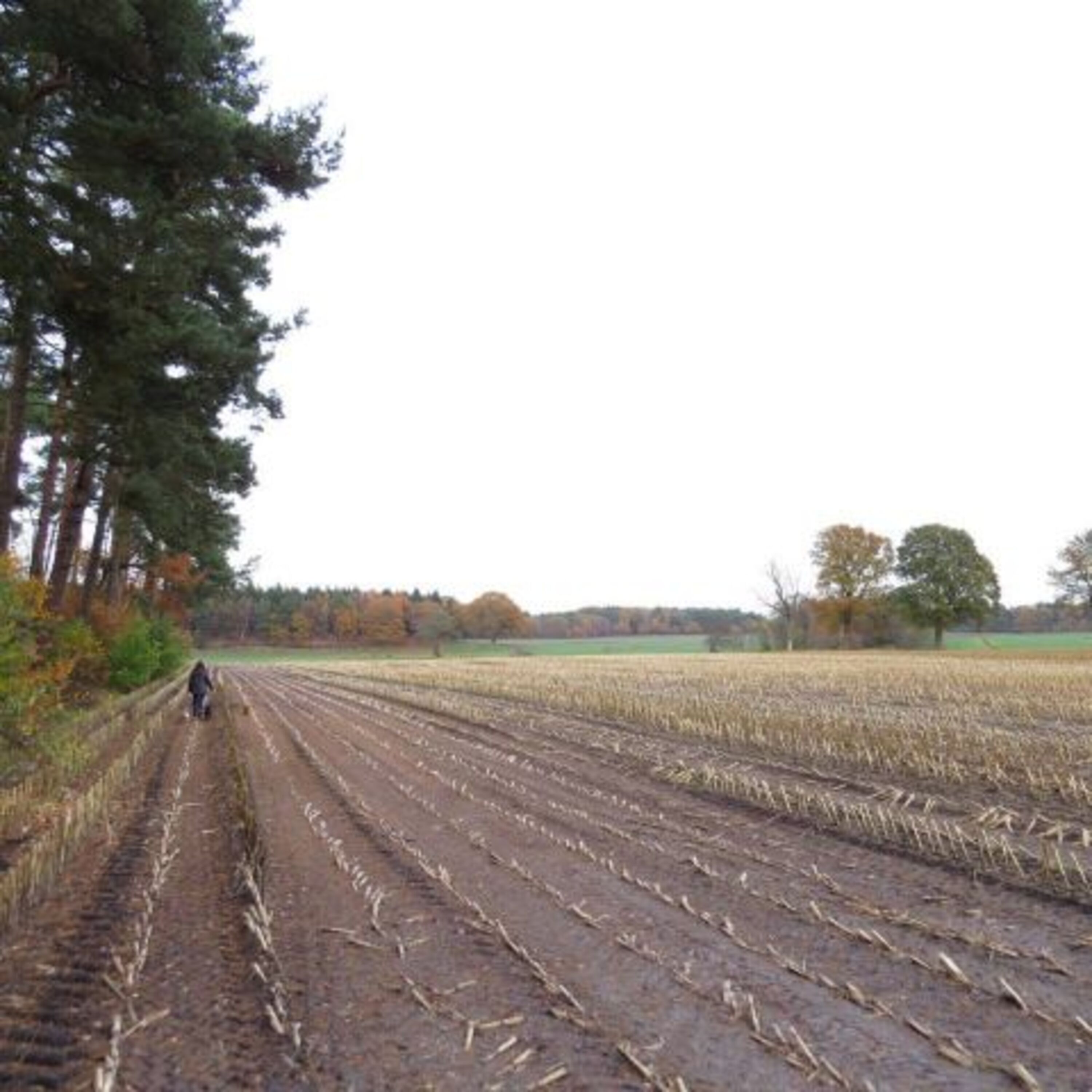 Umgebung