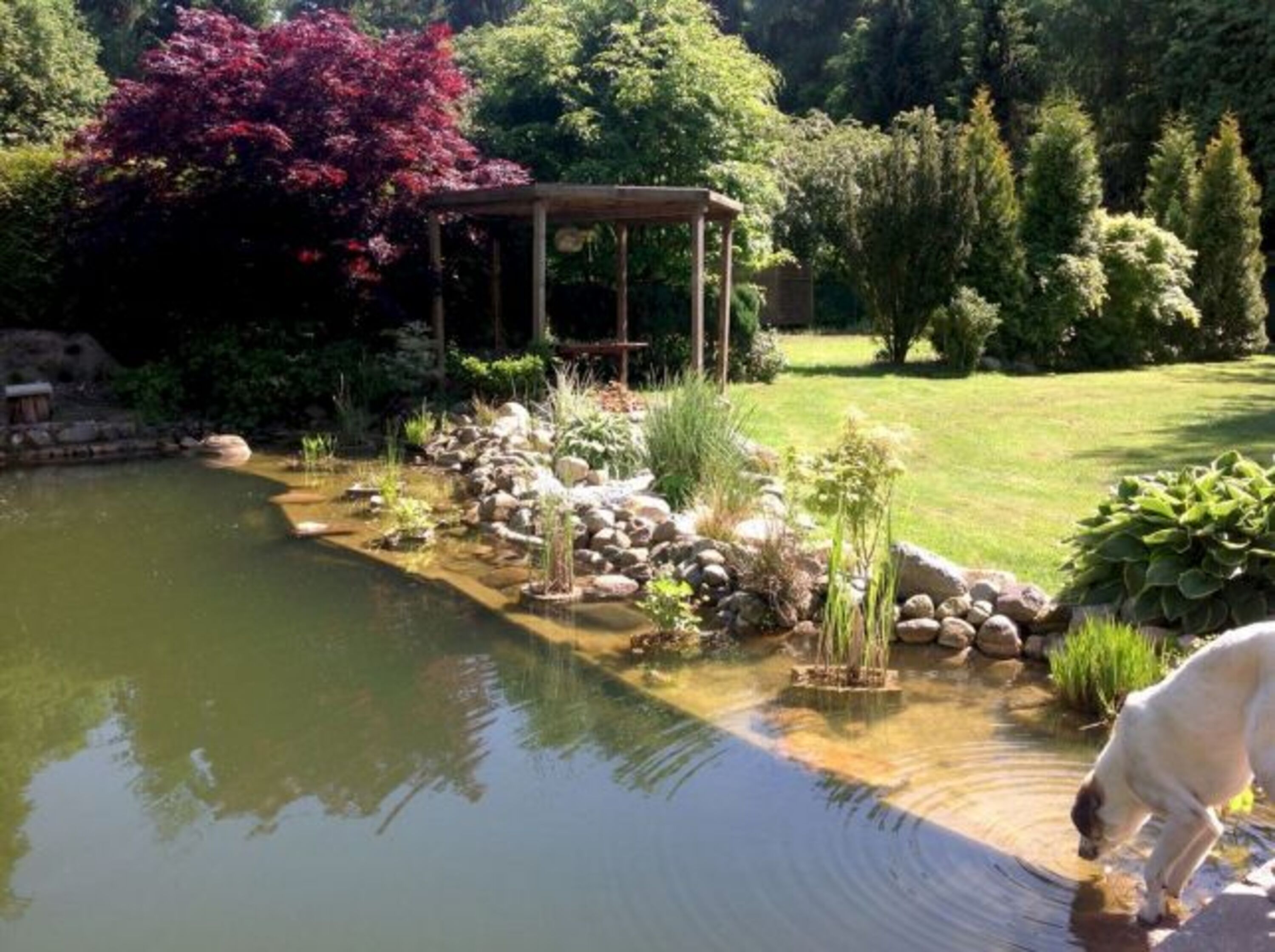 Garten