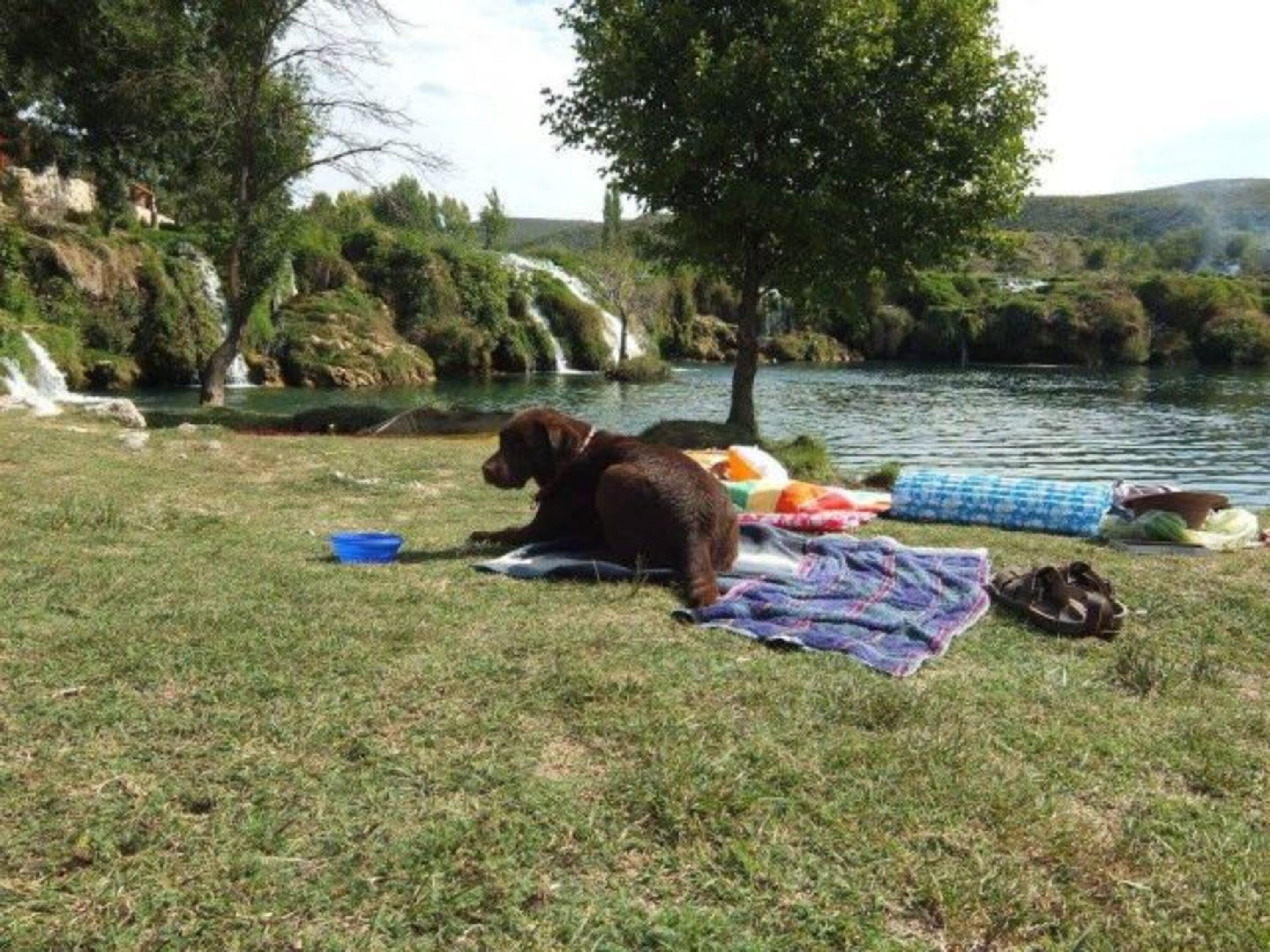 Bild 11