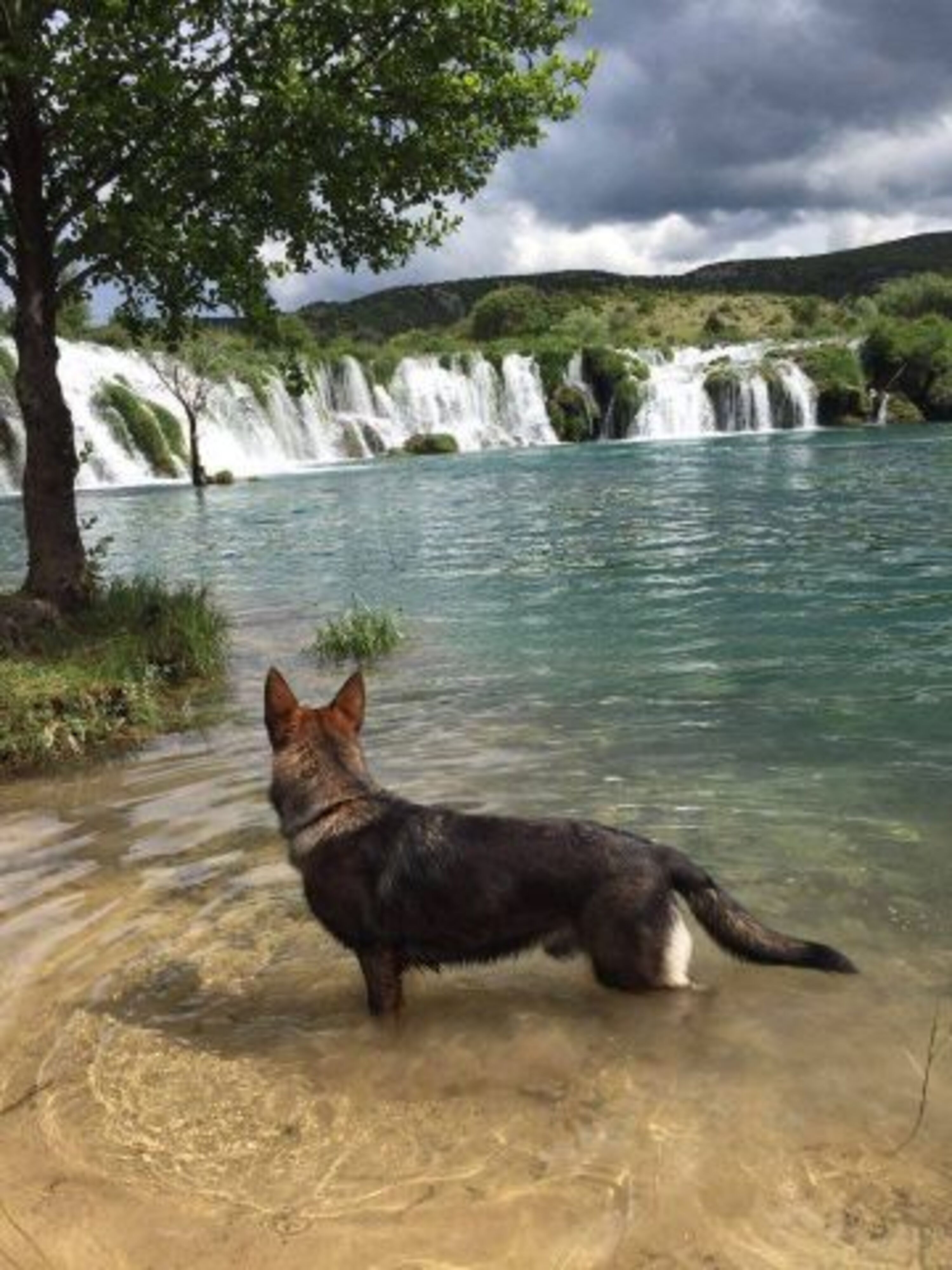 Bild 10