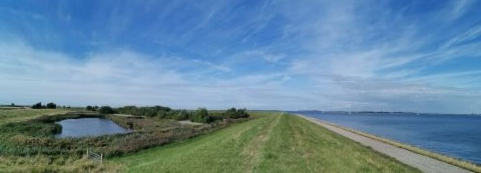 direkte Umgebung (ca 500m)