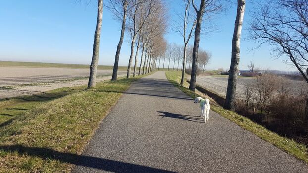 Weg direkt am Haus (Richtung Meer)