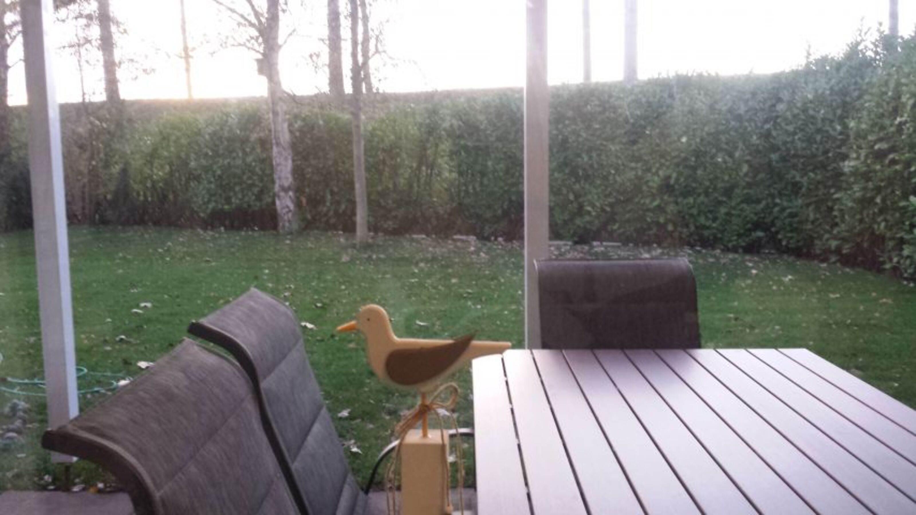 Blick in den Garten