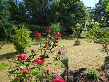 Blick von der Terrasse in den Garten