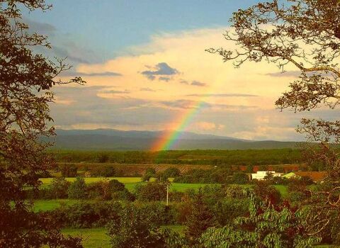Abendstimmung, Blick von der Terrasse