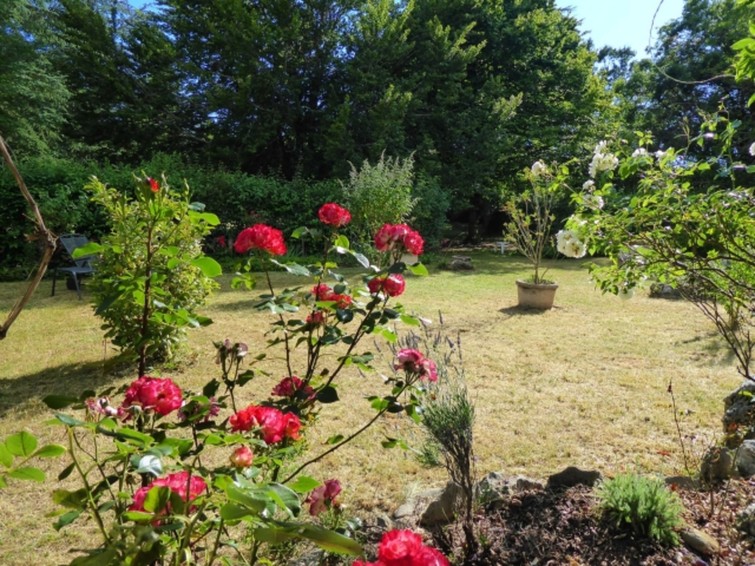 Blick von der Terrasse in den Garten