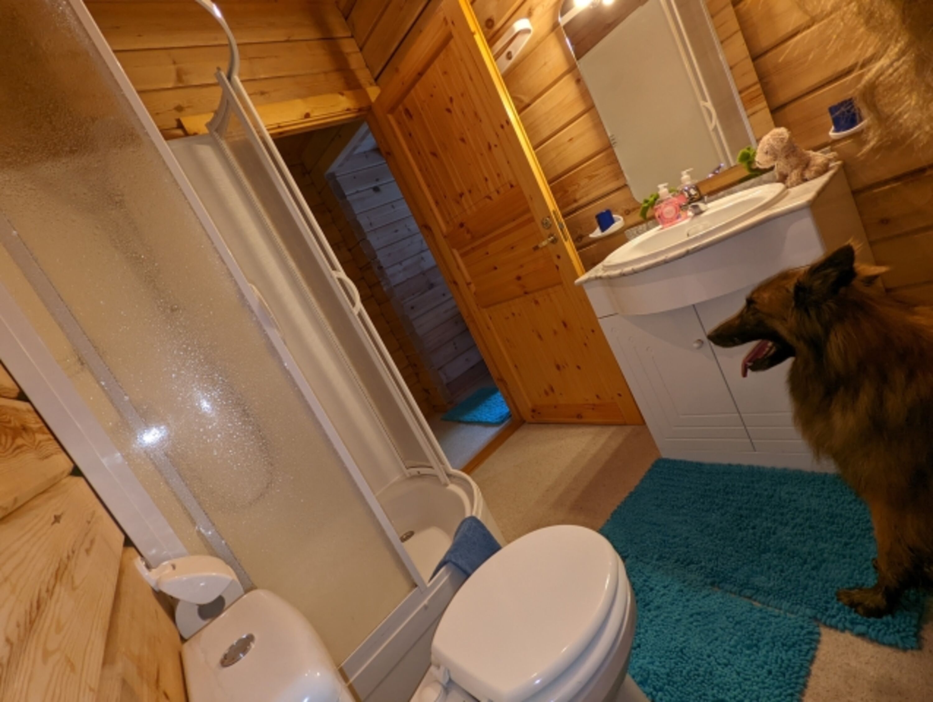 Bild 22