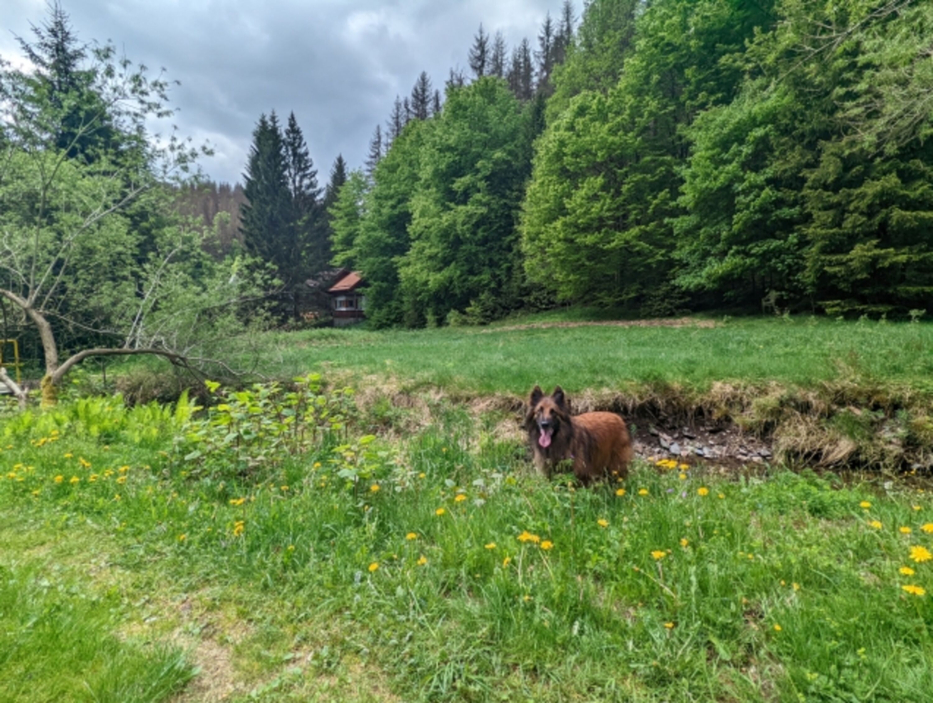 Bild 4