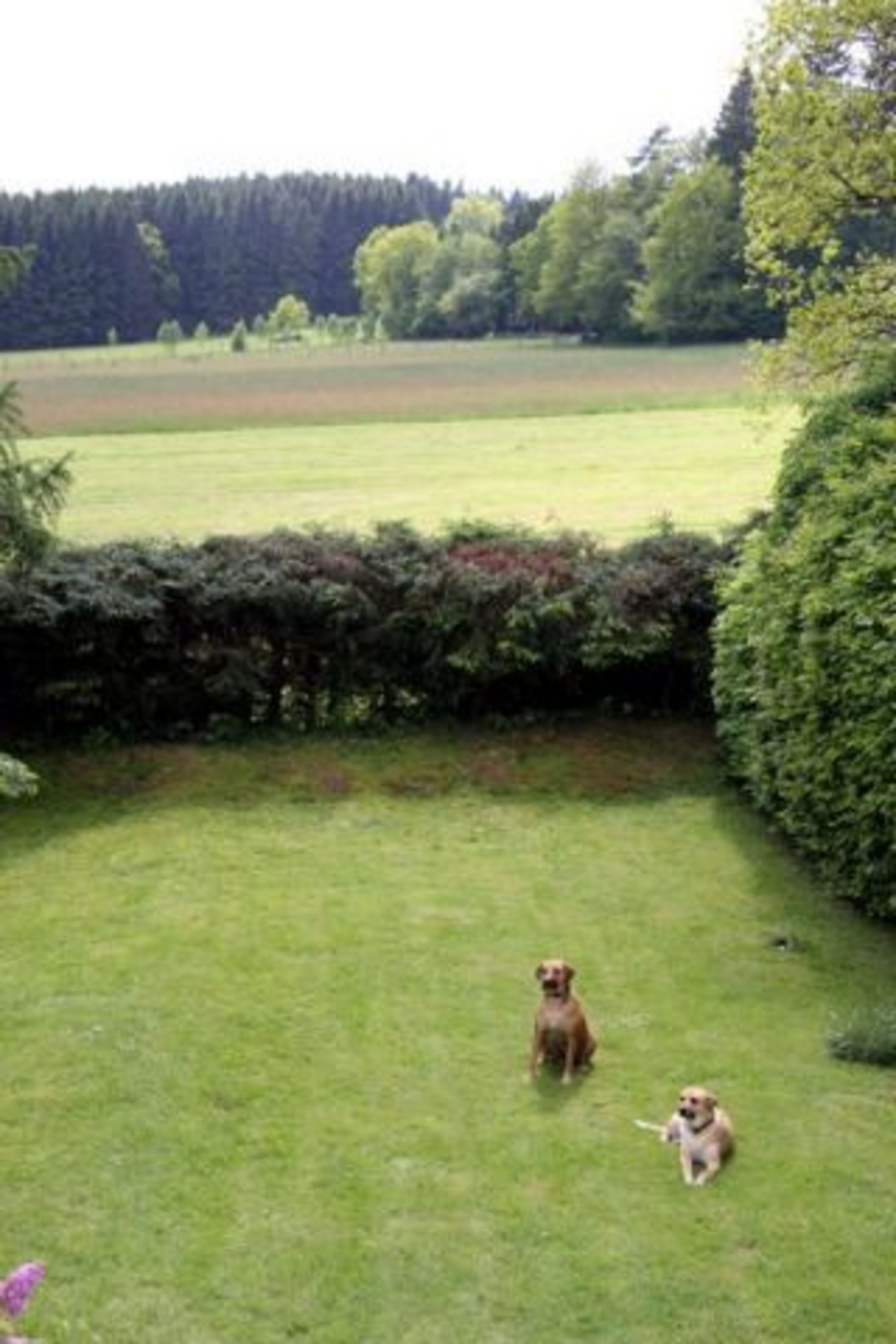 Bild 17