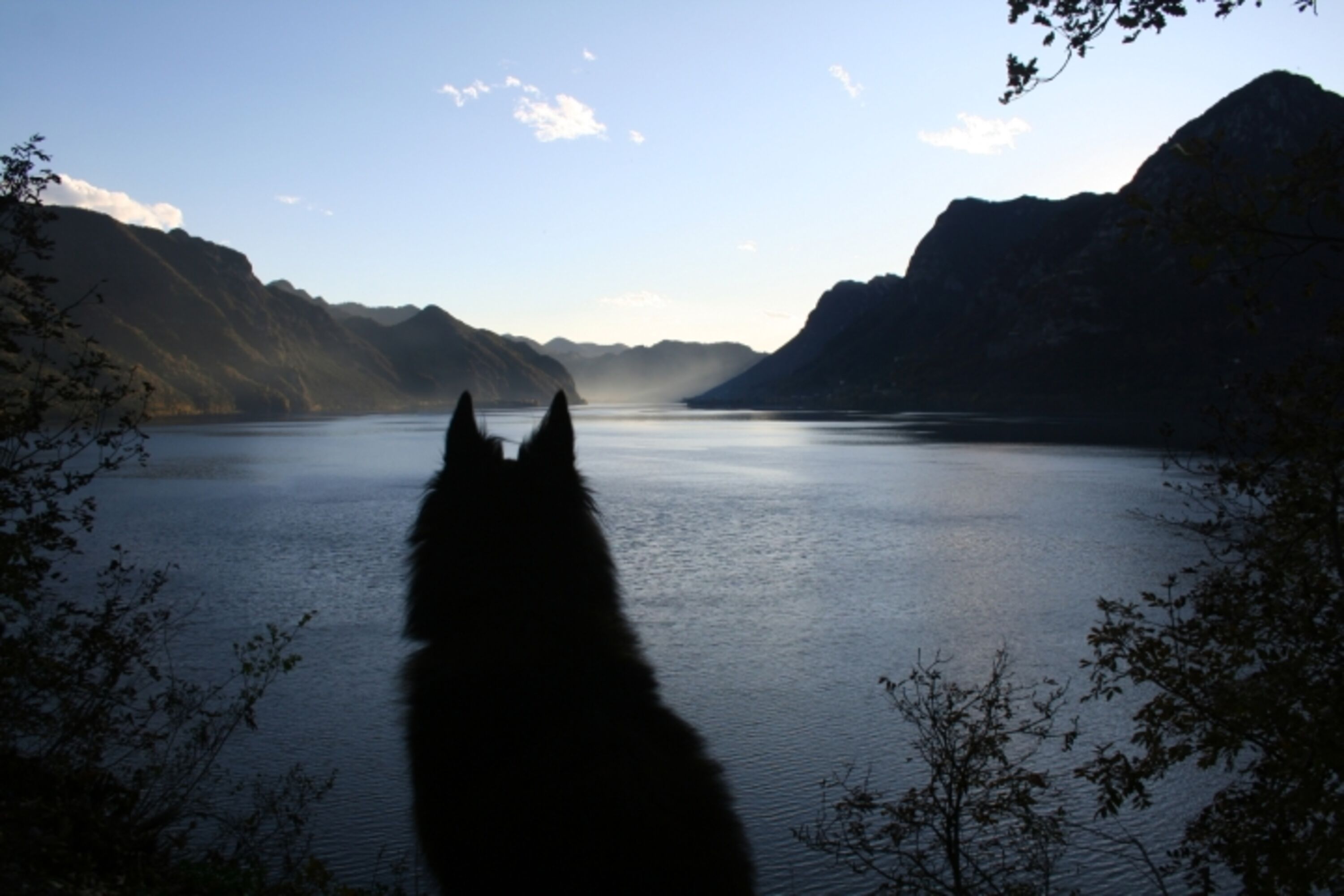 Bild 13