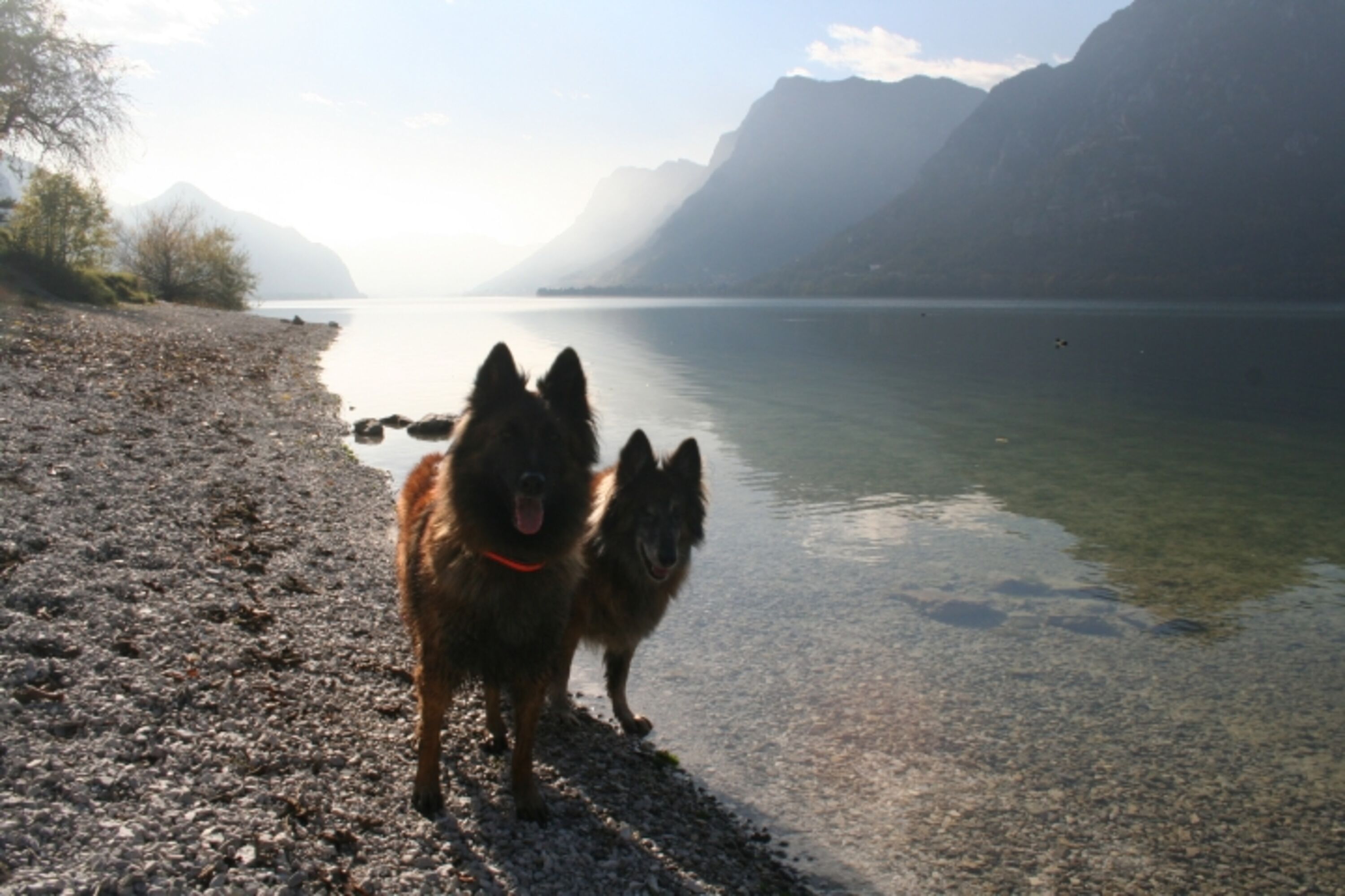 Bild 16