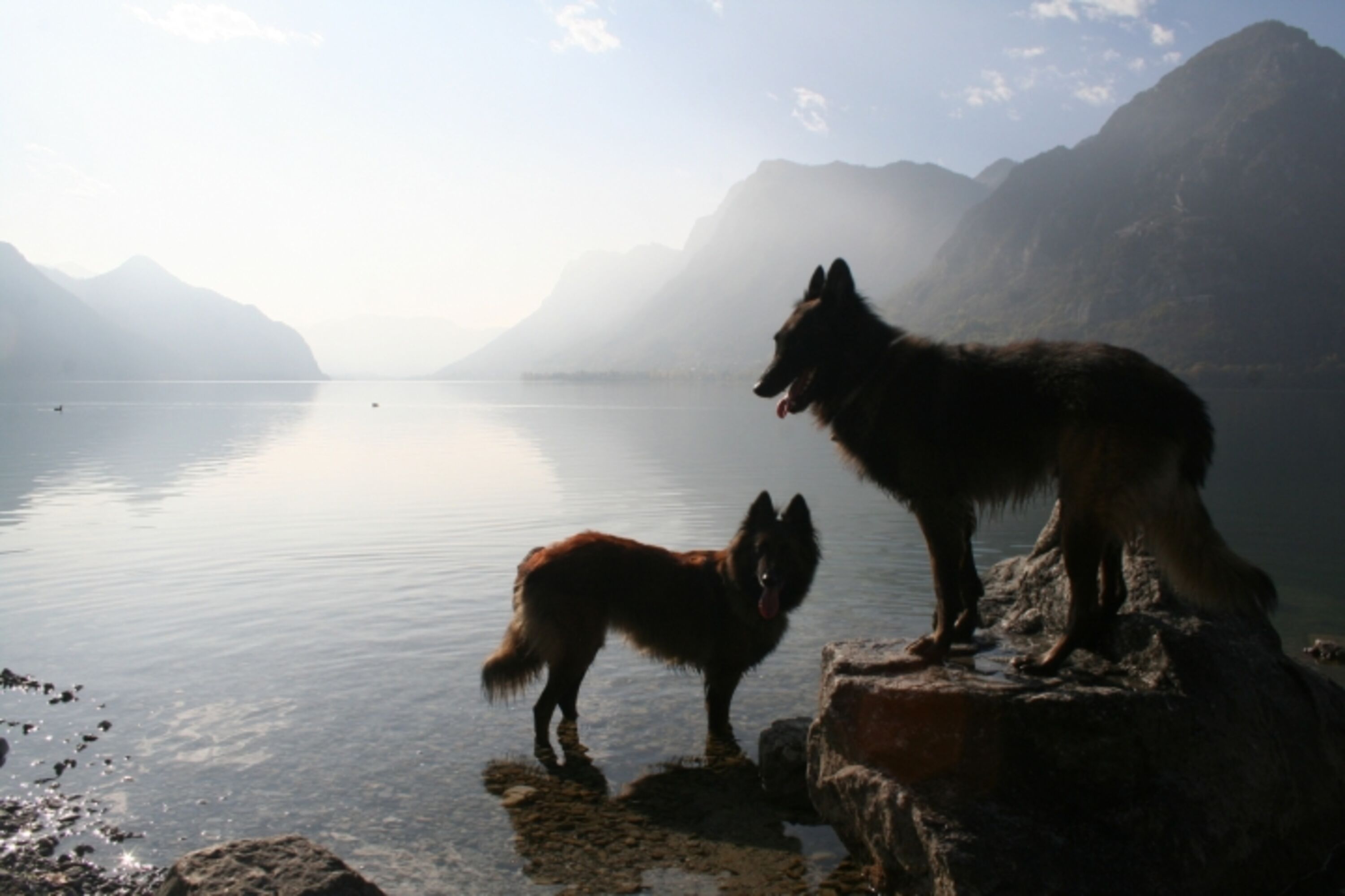 Bild 14