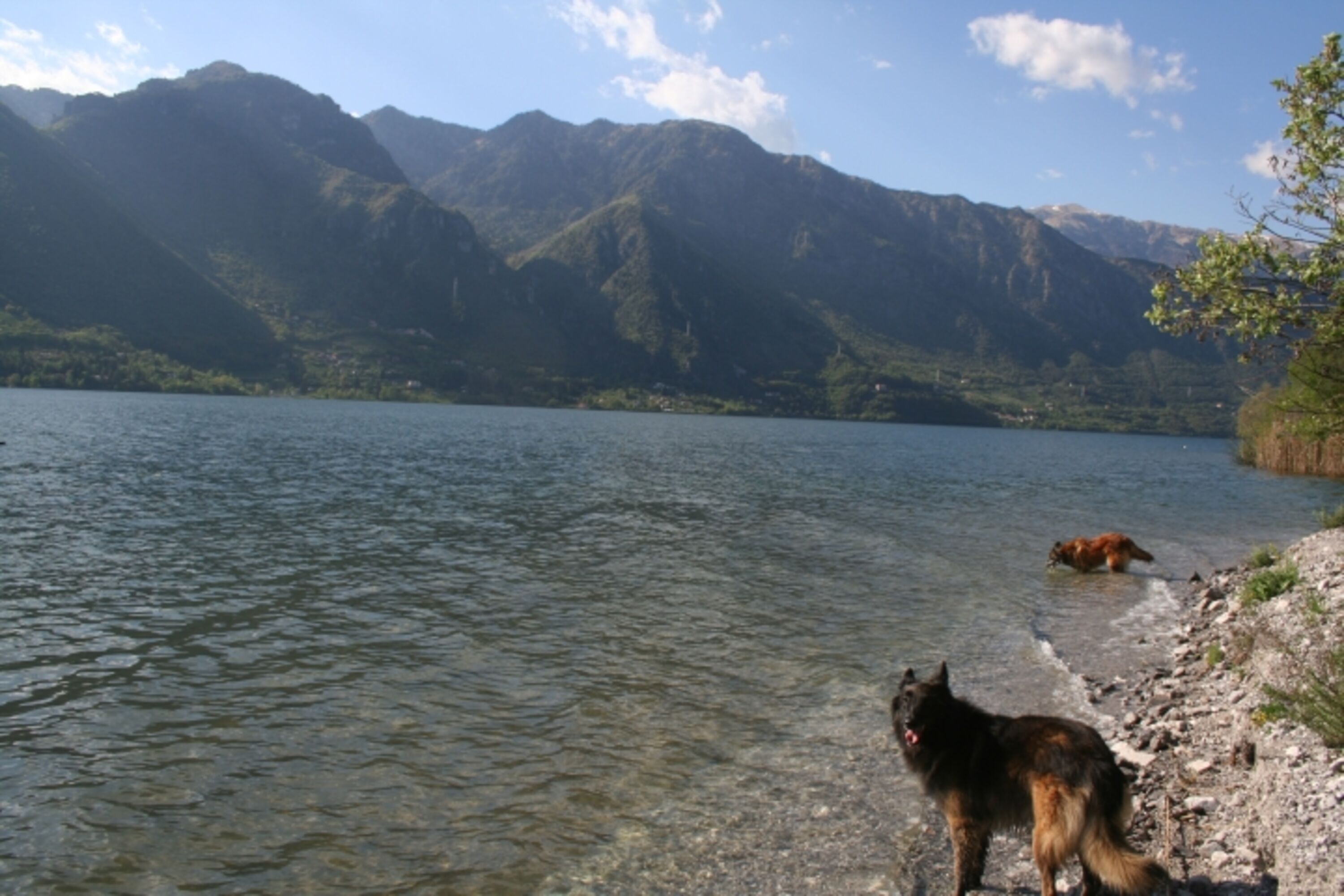 Bild 11
