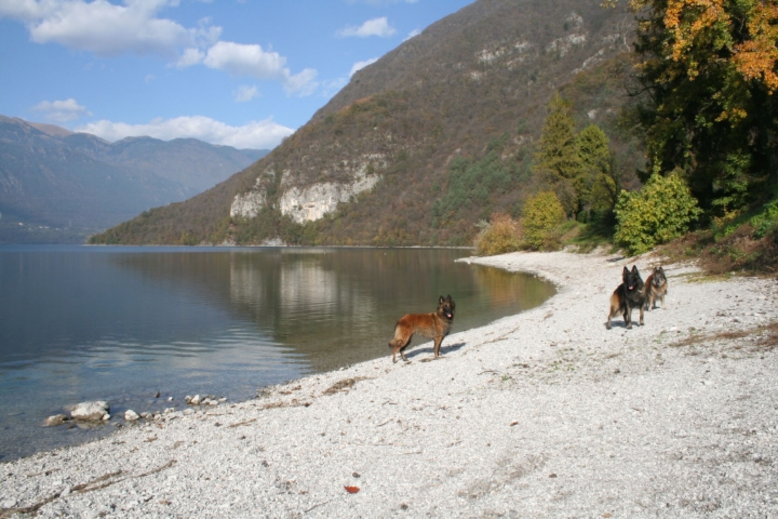 Bild 17