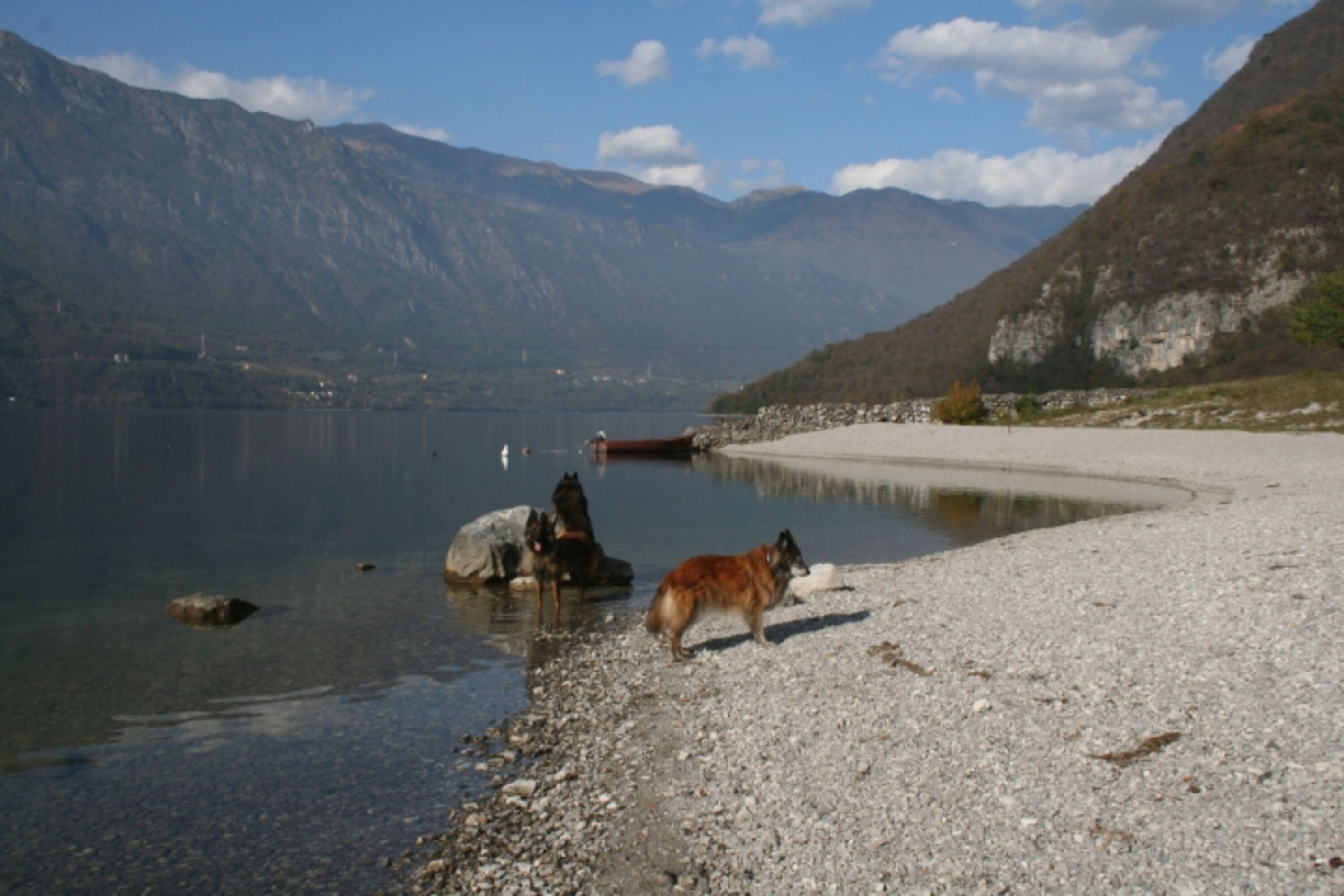 Bild 15