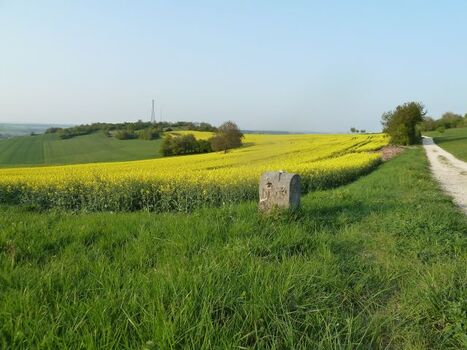 Spazieren entlang der Grenzsteine