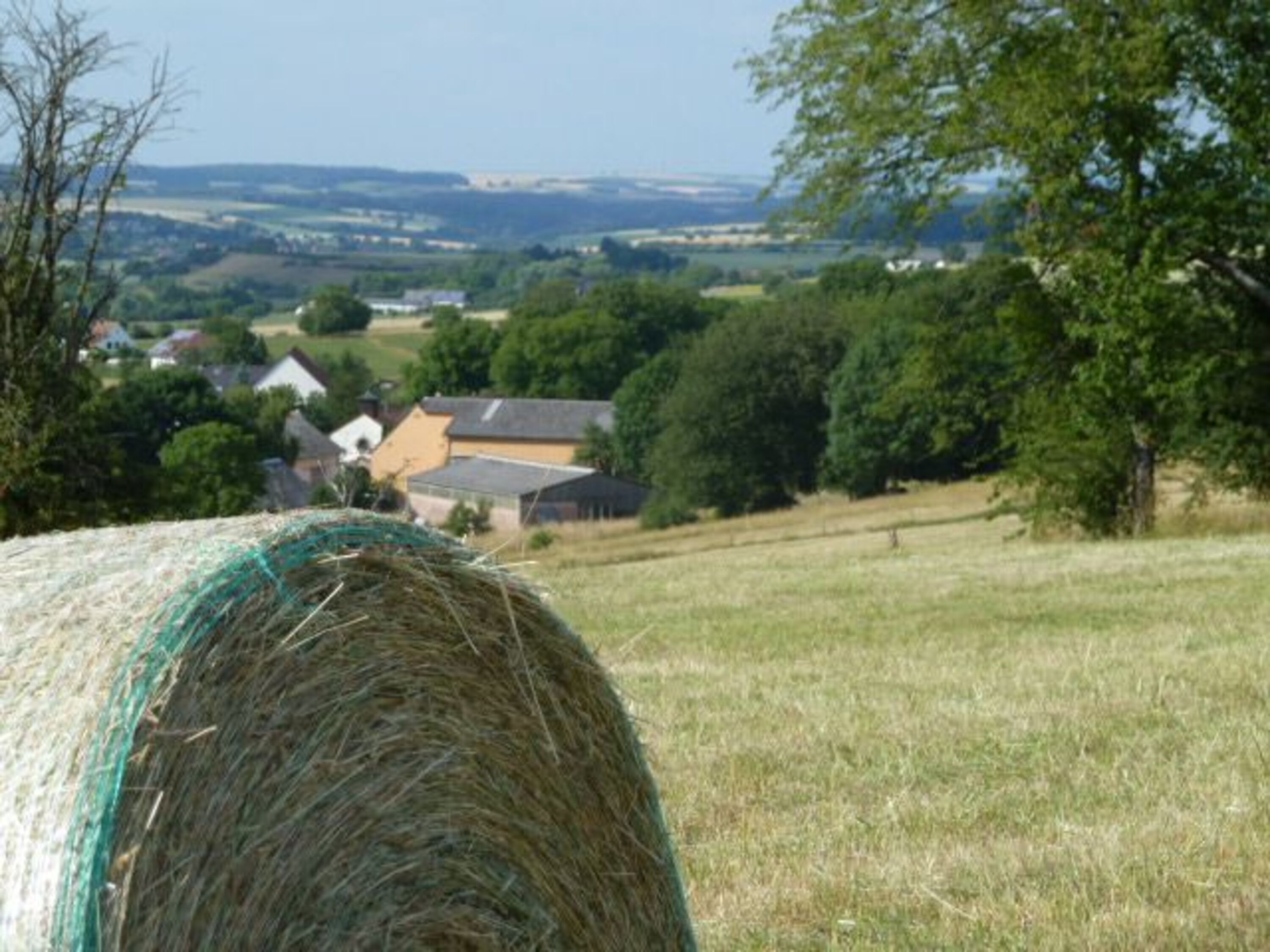 Heuernte 