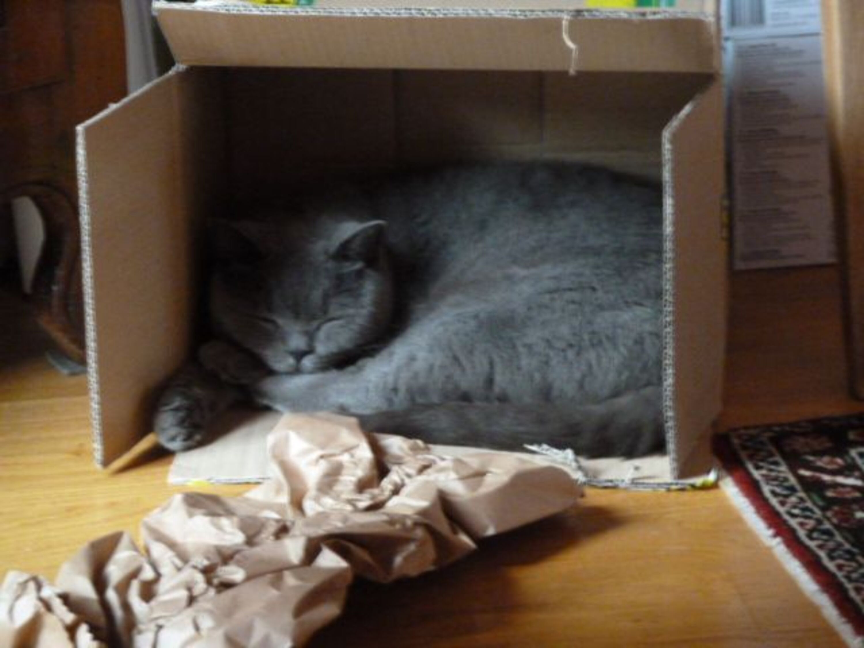Kater