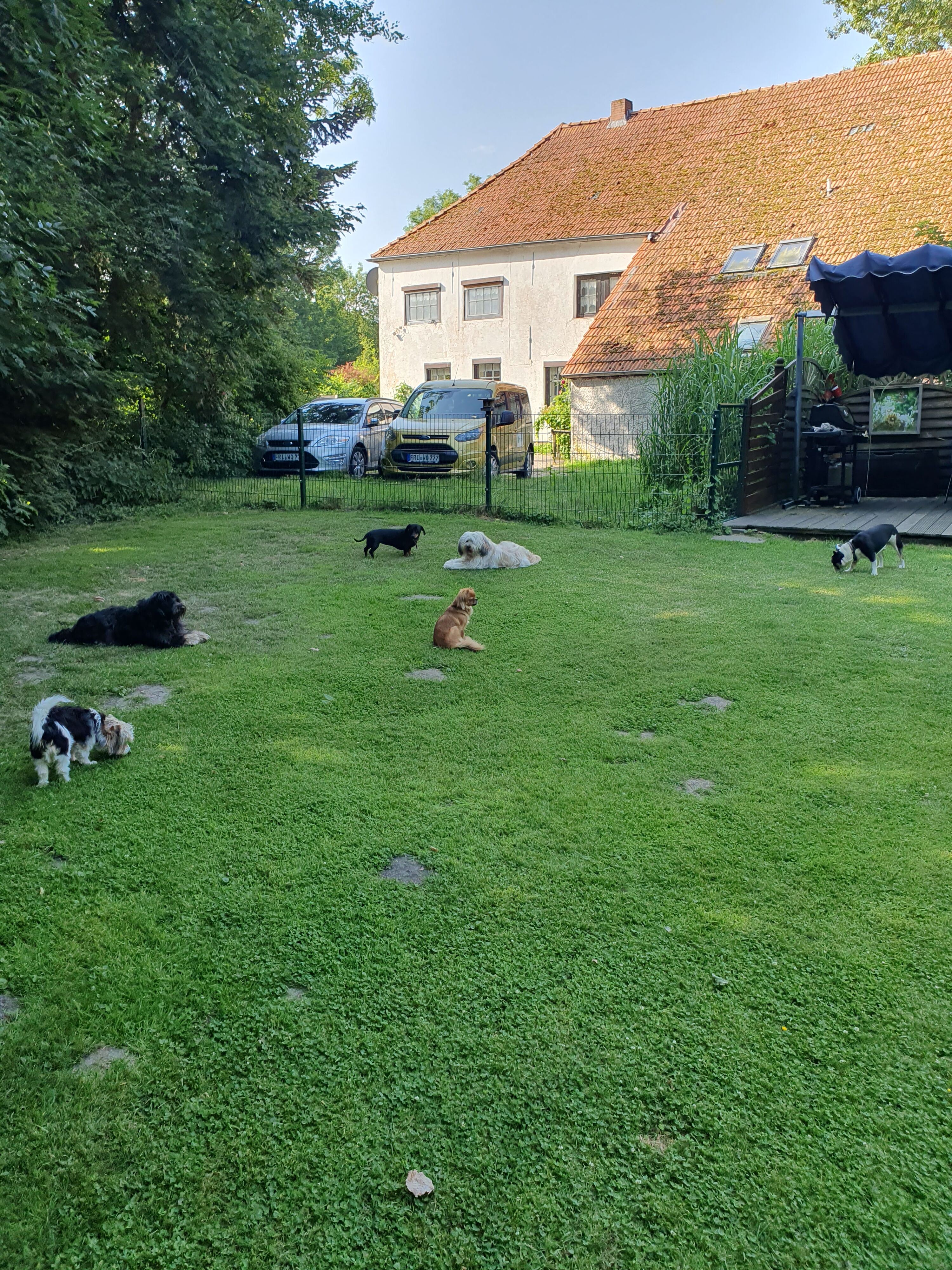 Gartenimpressionen