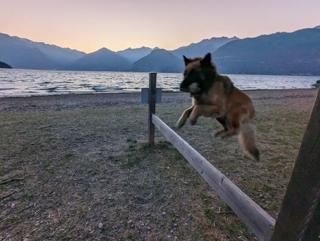 Spiel und Spass am See