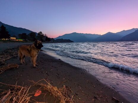 Abendstimmung am See