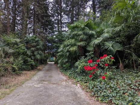 Blick von der Einfahrt zum Haus