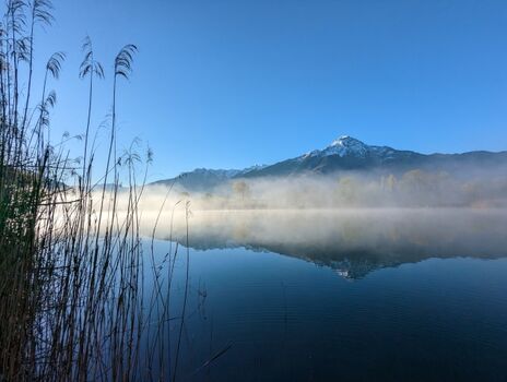 Morgenstimmung am See