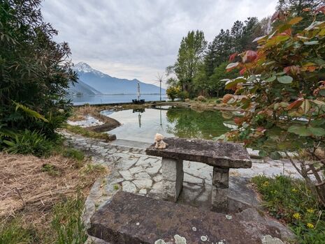 Blick von der Terrasse zum See