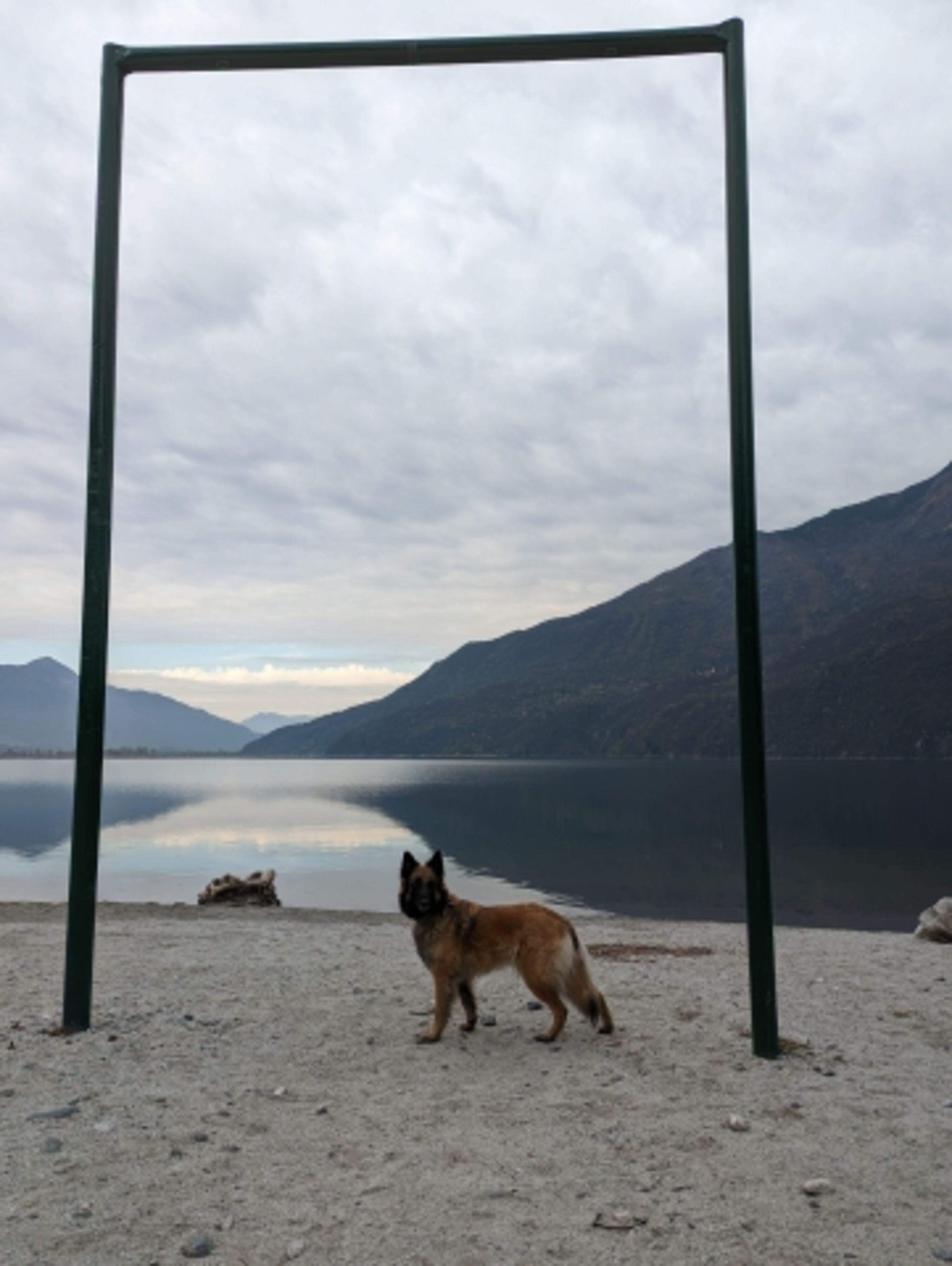 Lago di Mezzola