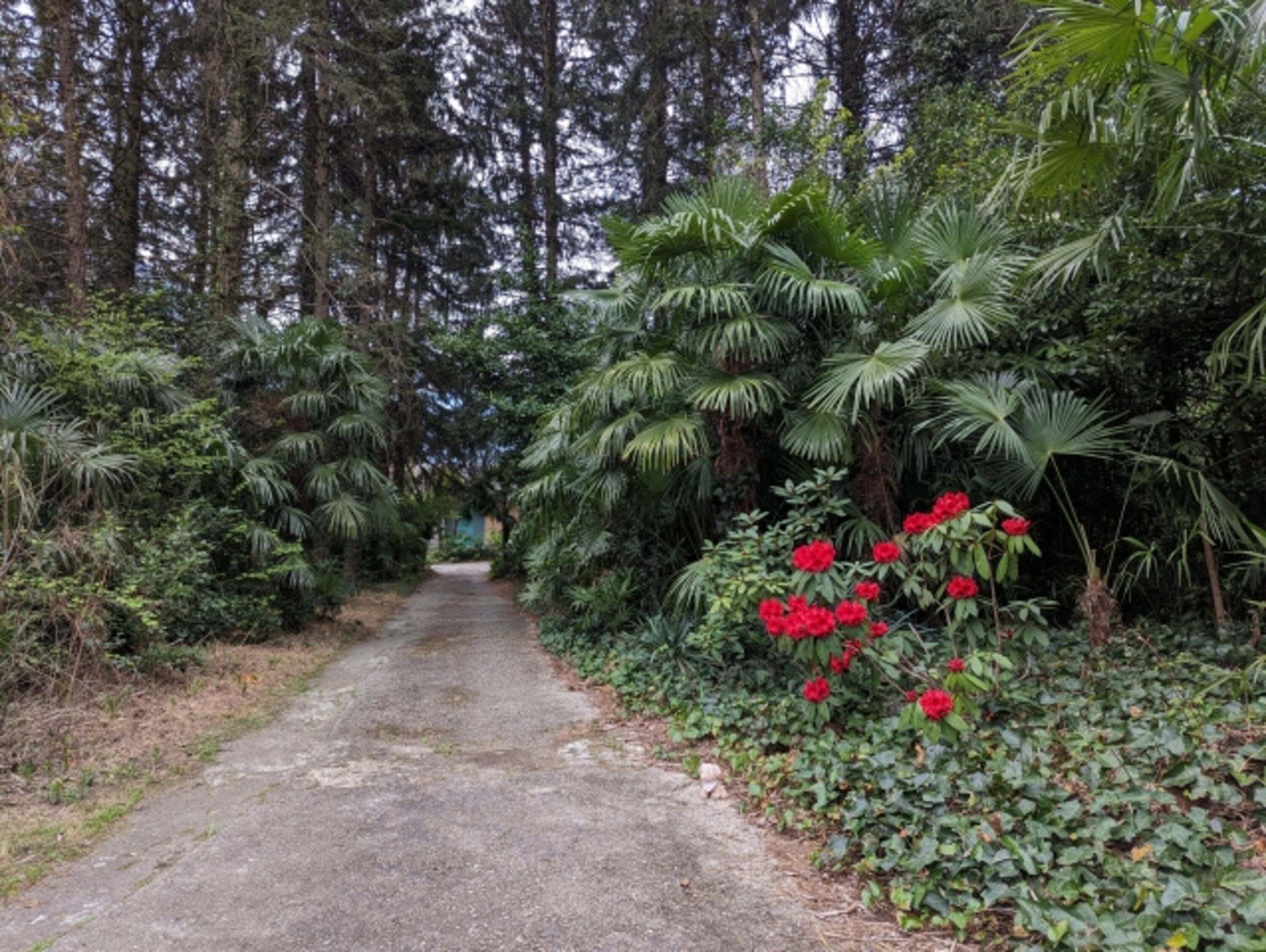 Blick von der Einfahrt zum Haus