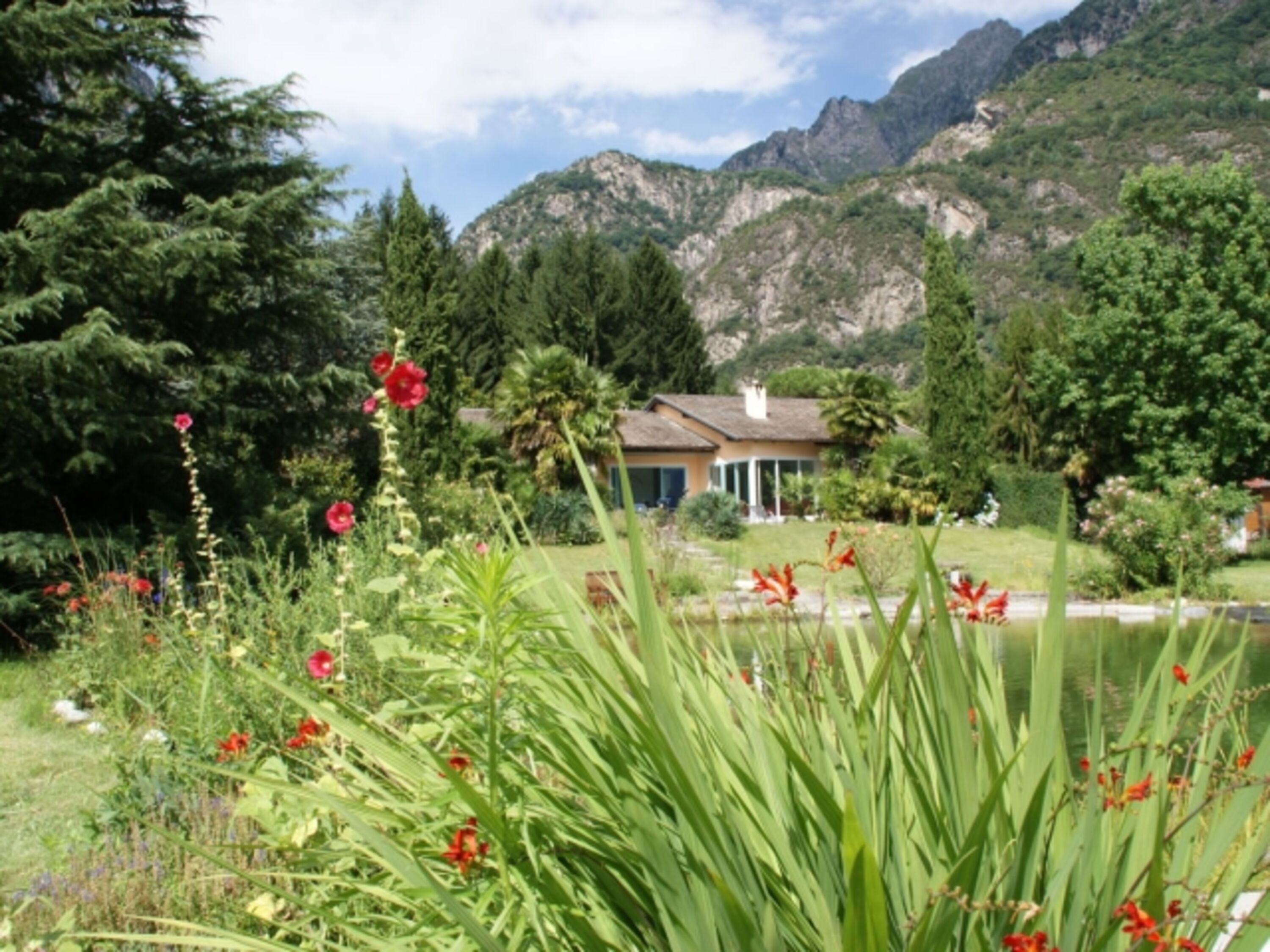 riesiger eingezäunter Garten zur alleinigen Nutzung