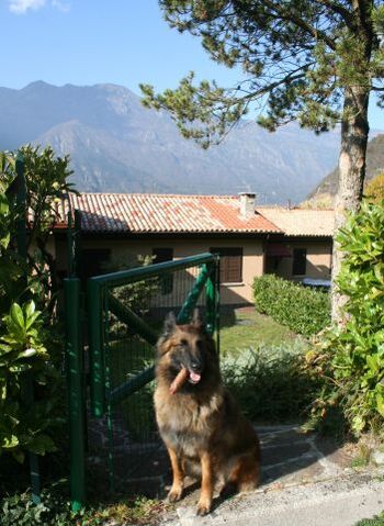 Eingang hinterer Teil des Gartens