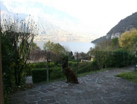 der vordere Teil des Gartens